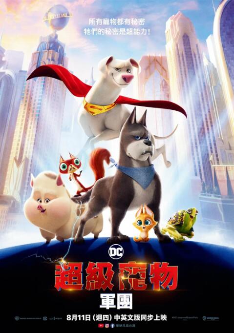 播放黄色片
