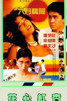 家政老师电影免费观看