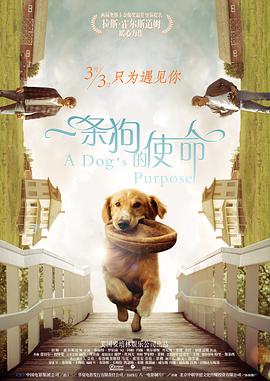 王力宏沈阳