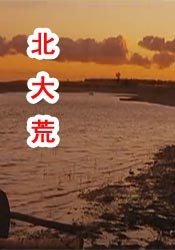 国产精品第13页