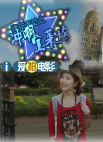 小猫视频大全搞笑可爱