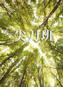 老司机网