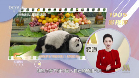 久久免费视频精品